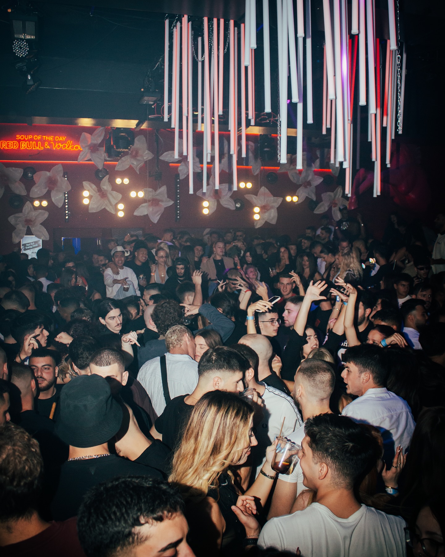 Gallery Φωτογραφία 5 από το STUDIO 24